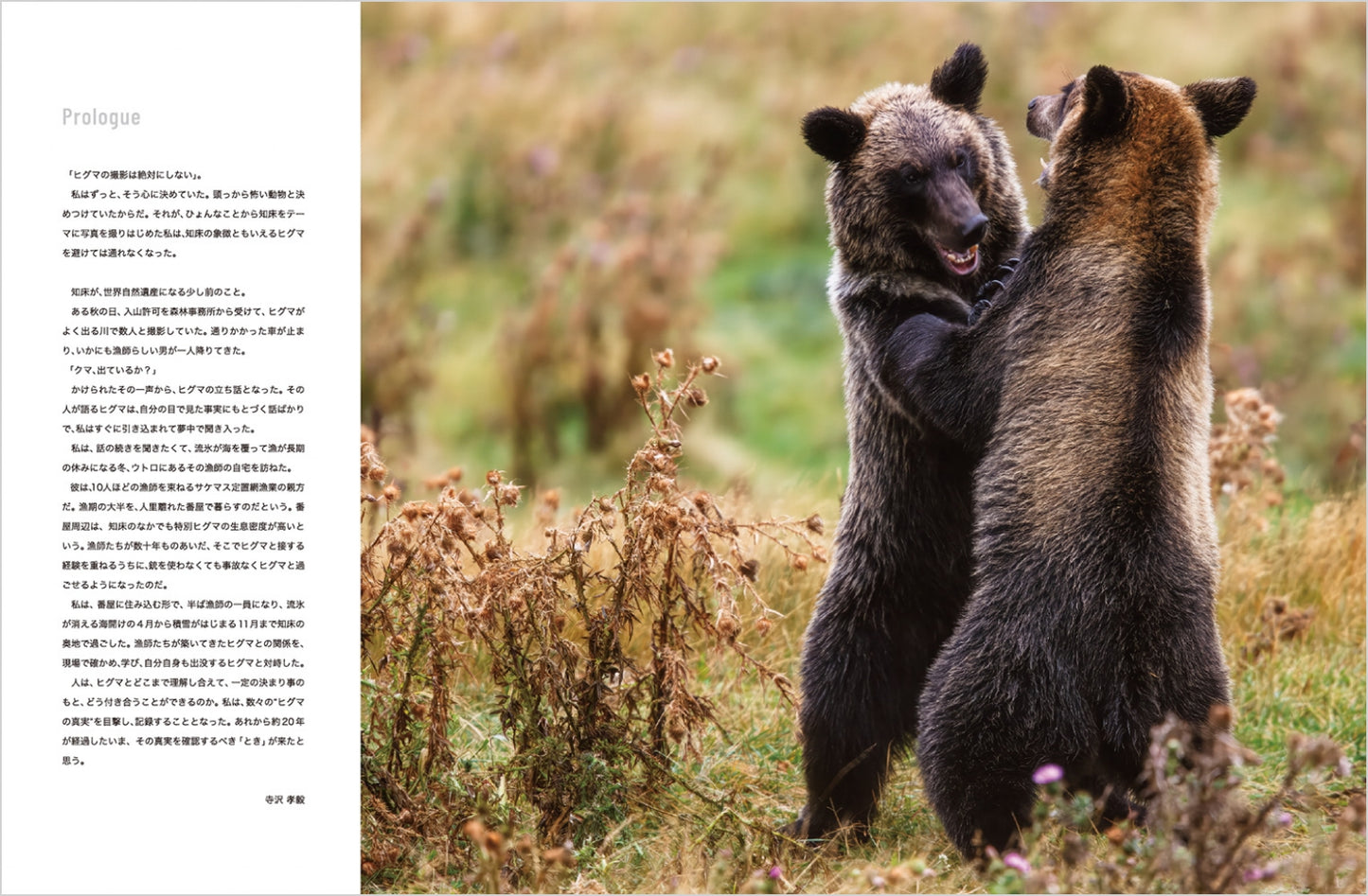 【先行予約特別価格・限定100冊】BEAR TRUTH ヒグマの真実