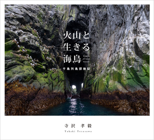 火山と生きる海鳥 千島列島探検記